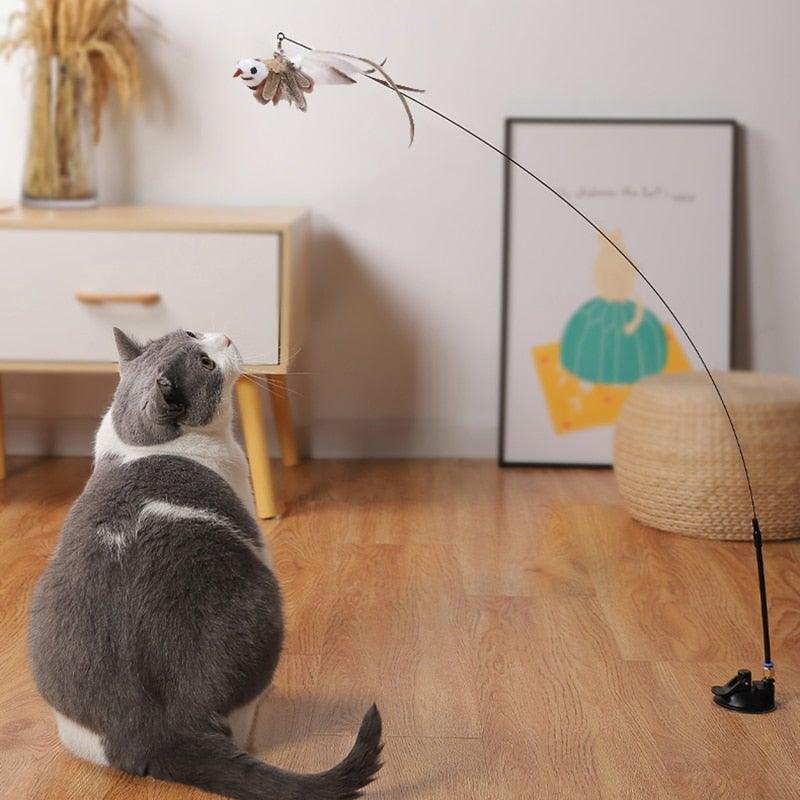 Gray cat watching a hanging feather teaser toy attached to a floor base wand.