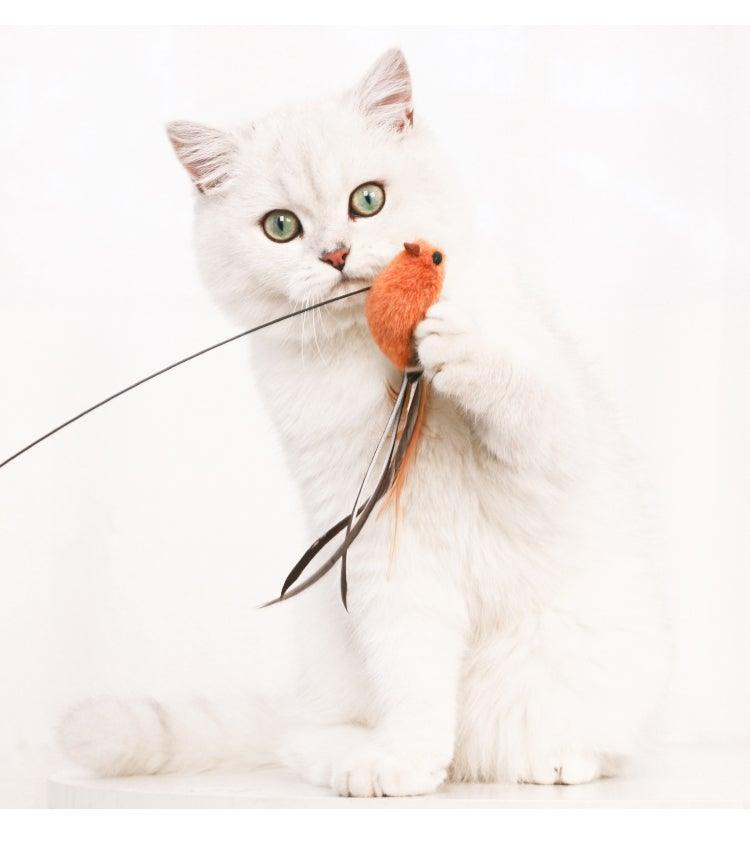 White cat holding an orange plush toy on a feather teaser wand string.