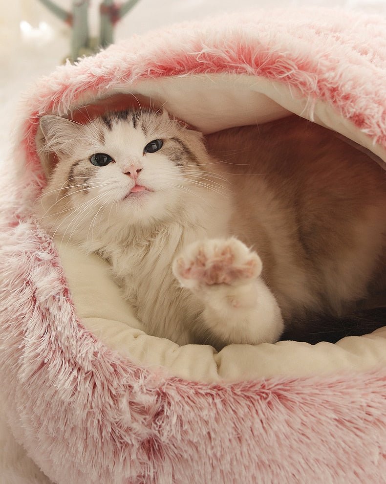 2-in-1 Cozy Pet Bed