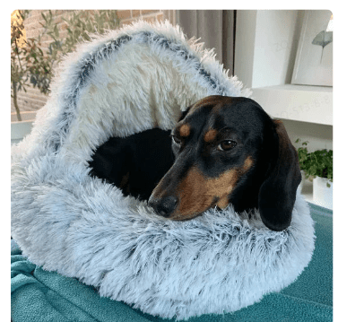2-in-1 Cozy Pet Bed