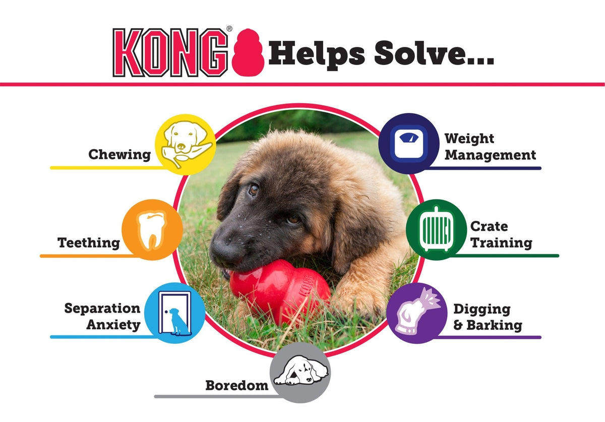 KONG Puppy info graphic showing chewing, teething, crate training, and digging icons