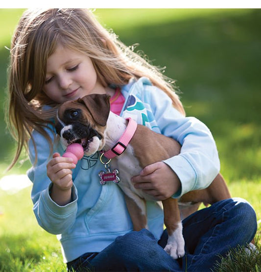 Child cuddling a brown puppy while it chews a pink KONG Puppy toy