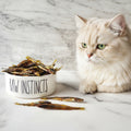 Cream cat beside RAW INSTINCTS jar of dried silverside fish treats on marble