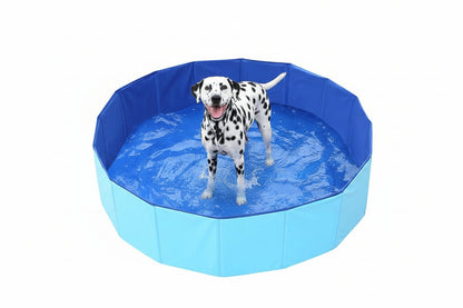 Blue foldable pet swimming pool with dog standing in the center