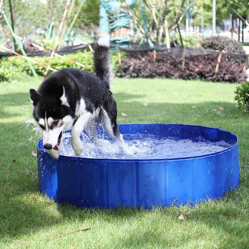 Blue foldable pet swimming pool with dog dipping water and splashing