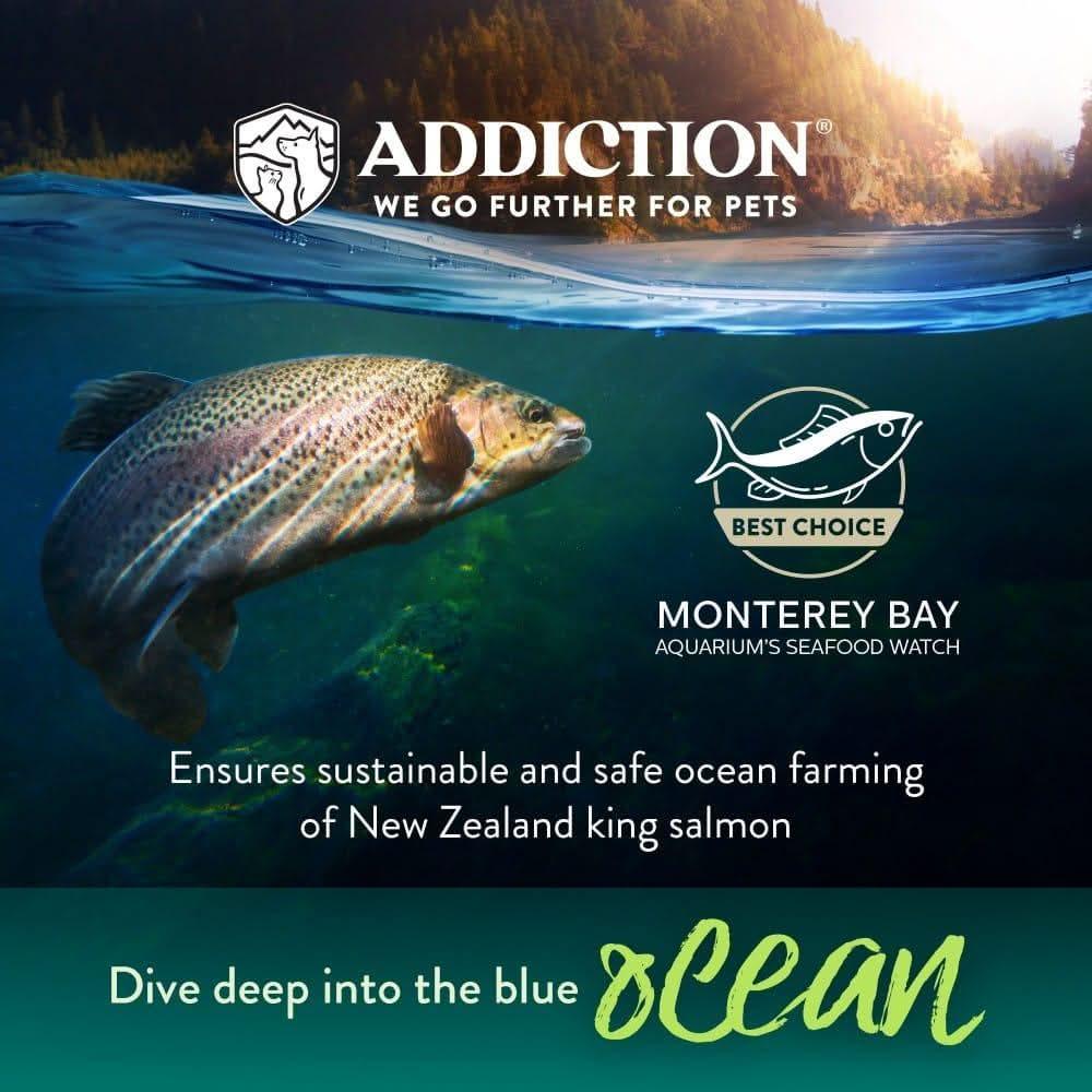 Salmon Bleu dry cat food ocean-themed promotional graphic with salmon illustration