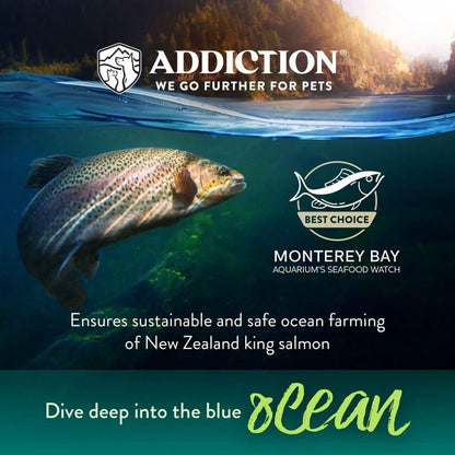 Salmon Bleu dry cat food ocean-themed promotional graphic with salmon illustration