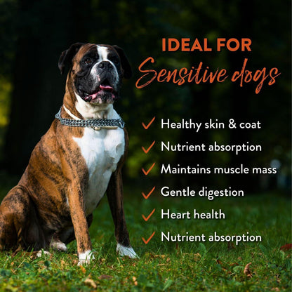 Boxer dog in grass with Addiction Pet Foods USA benefits for sensitive dogs.