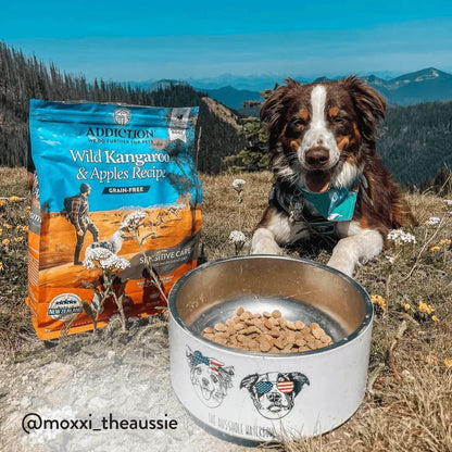 Australian Shepherd dog with Addiction Pet Foods USA Wild Kangaroo & Apples dry dog food bowl.