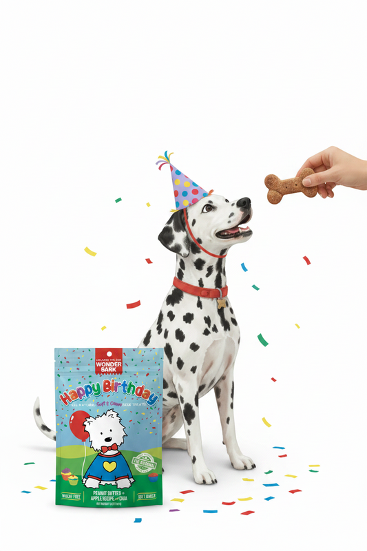 Happy Birthday dog treat bag with soft-baked treats, held near a Dalmatian dog